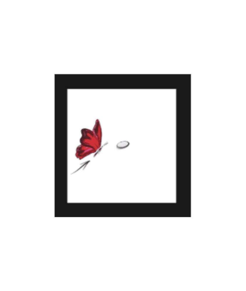 Storyboard sequence showing a red butterfly transforming into a luxury product