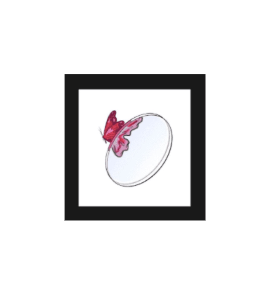 Storyboard sequence showing a red butterfly transforming into a luxury product