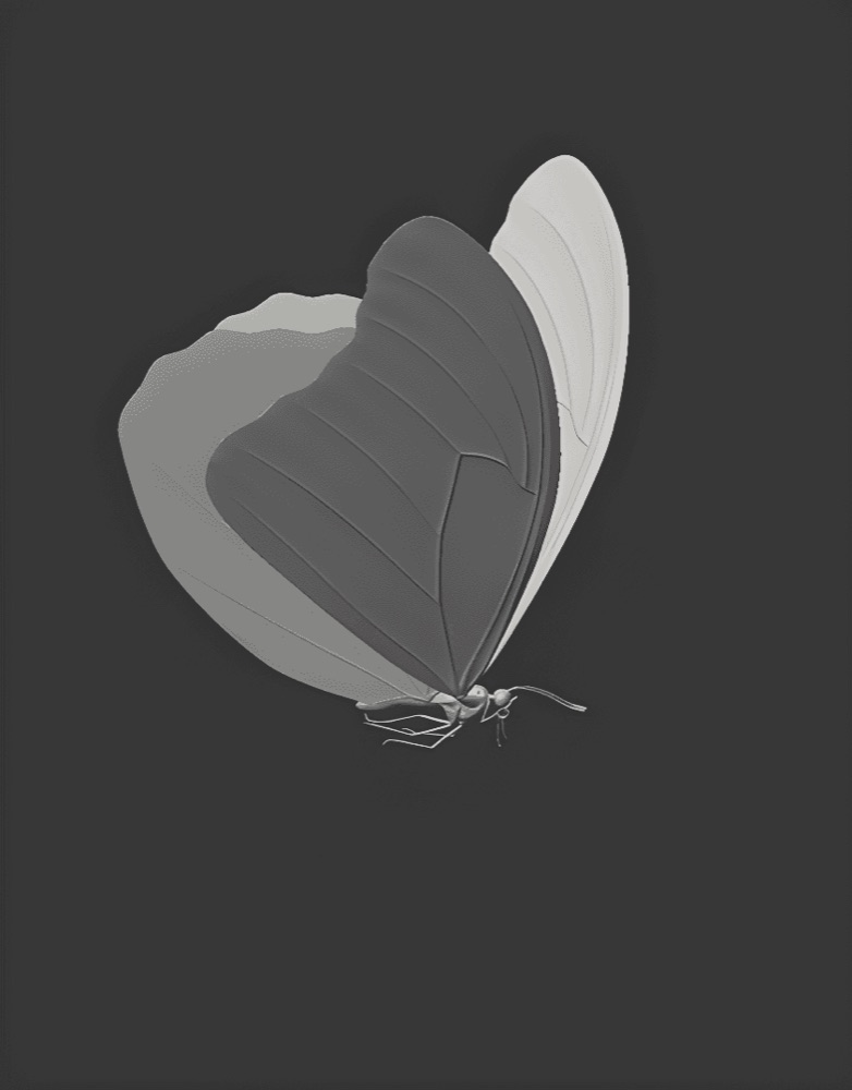 Gray-scale 3D models of a butterfly and a branded product container