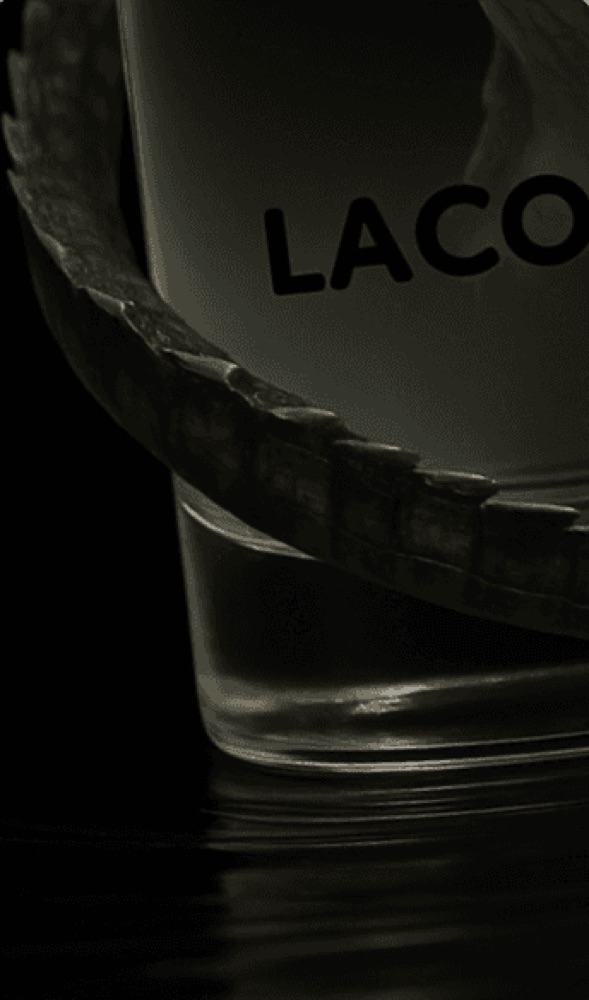 Comic-style panel features realistic crocodiles interacting with Lacoste bottles